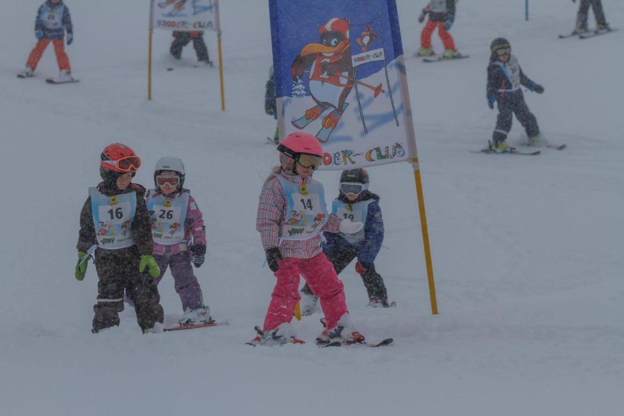 Ski- Und Wander Appartements Schiffer Innerkrems Exteriör bild